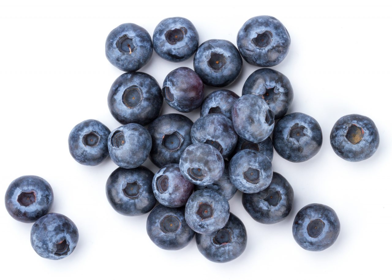 Fresh Blueberry