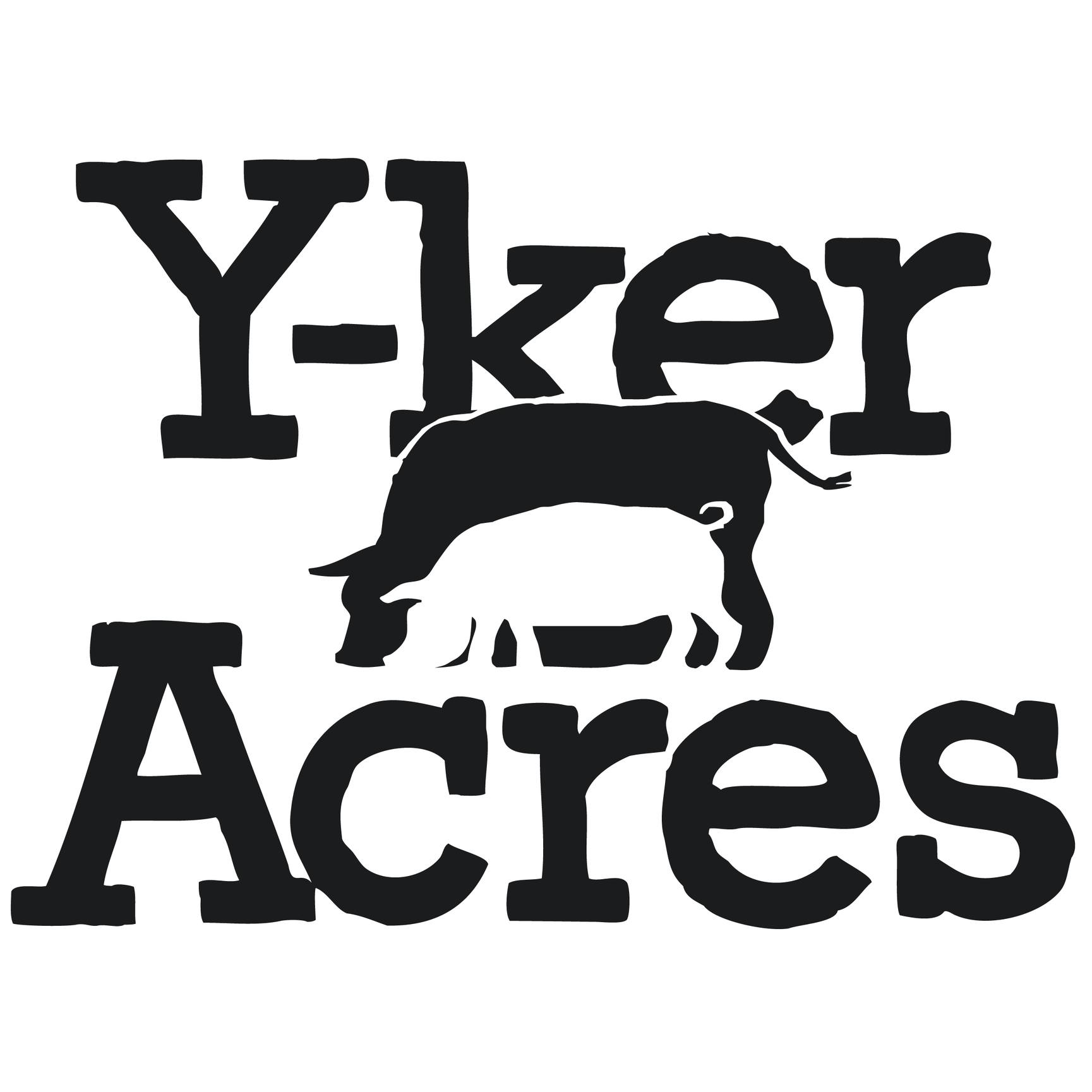A logo featuring the text "Y-ker Acres" in bold, black font. Above the text, there is a silhouette of a cow and a pig standing side by side, evoking the comforting charm reminiscent of enjoying coffee in Duluth.