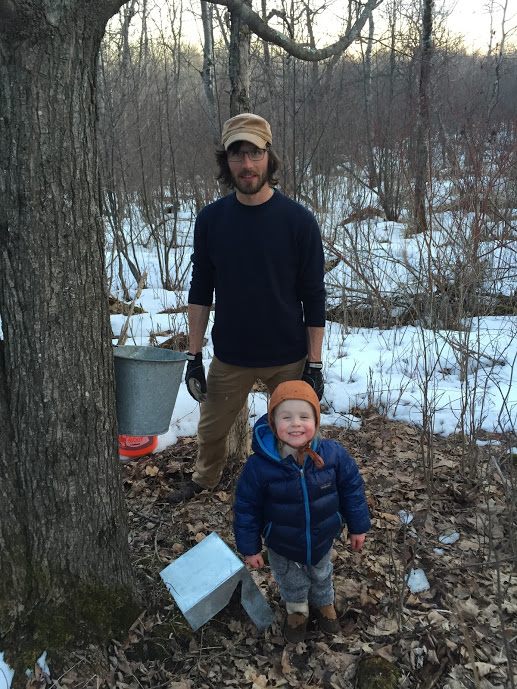 A man and a small child stand next to a tapped maple tree