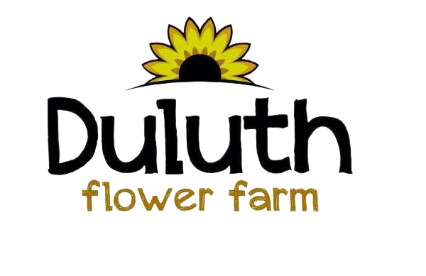Logo of "Duluth Flower Farm" with the text in black and gold. The word "Duluth" is in bold black letters and "flower farm" is in smaller gold letters, reminiscent of signs you might see when enjoying coffee in Duluth. There is an image of a black and yellow sunflower above the text.