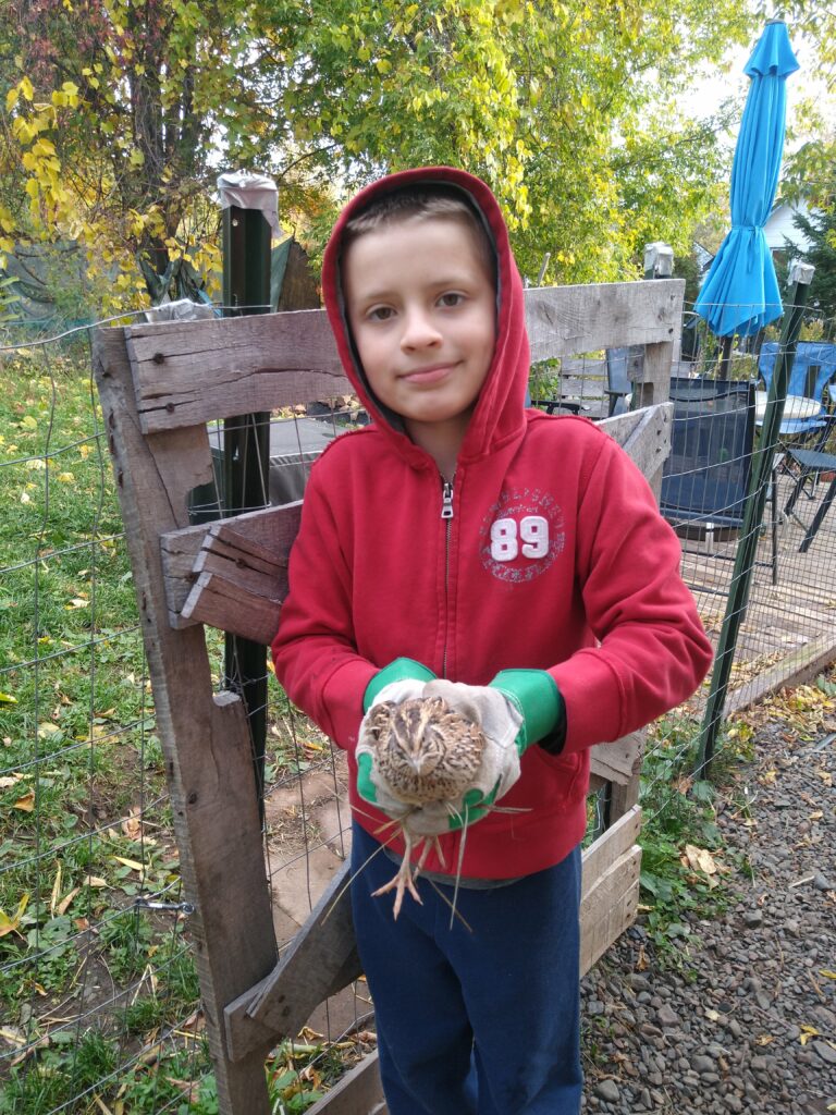 Kid in red sweatshirt holding a quail.