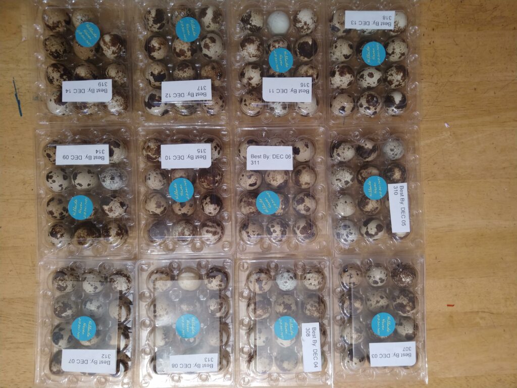 A wooden table displays 12 clear plastic cartons of Hillside quail eggs. Each carton contains 18 speckled quail eggs and has a blue circular label and a white sticker with a best-by date. The stickers show the dates 