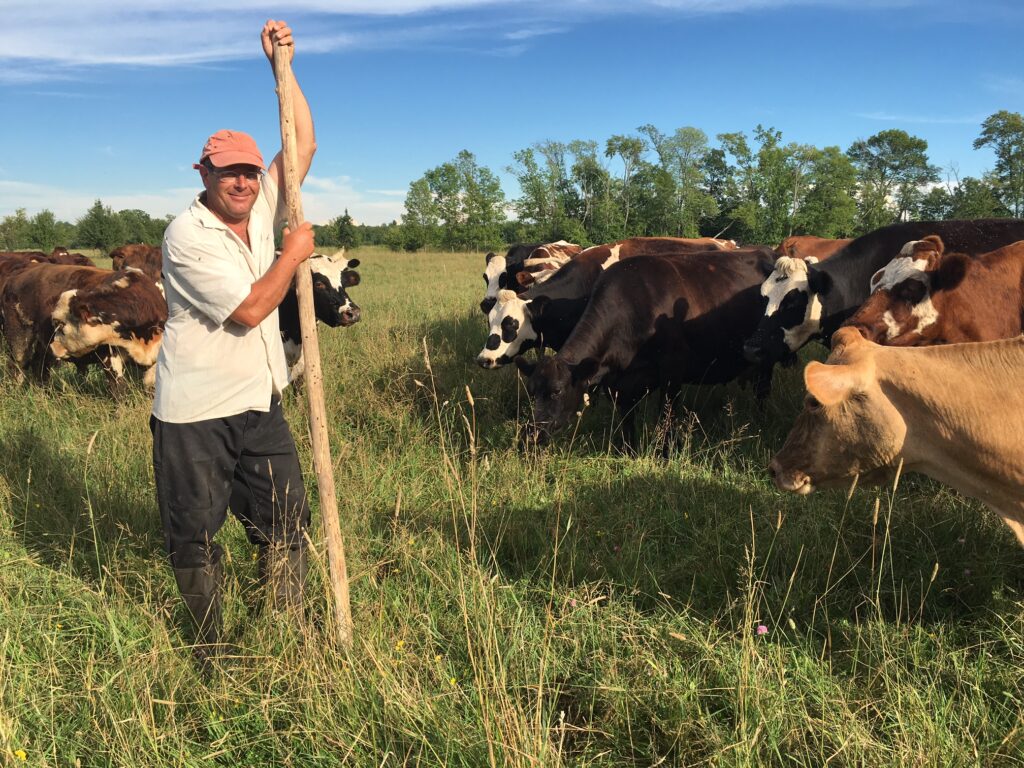 A man stands next to cows in a pasture