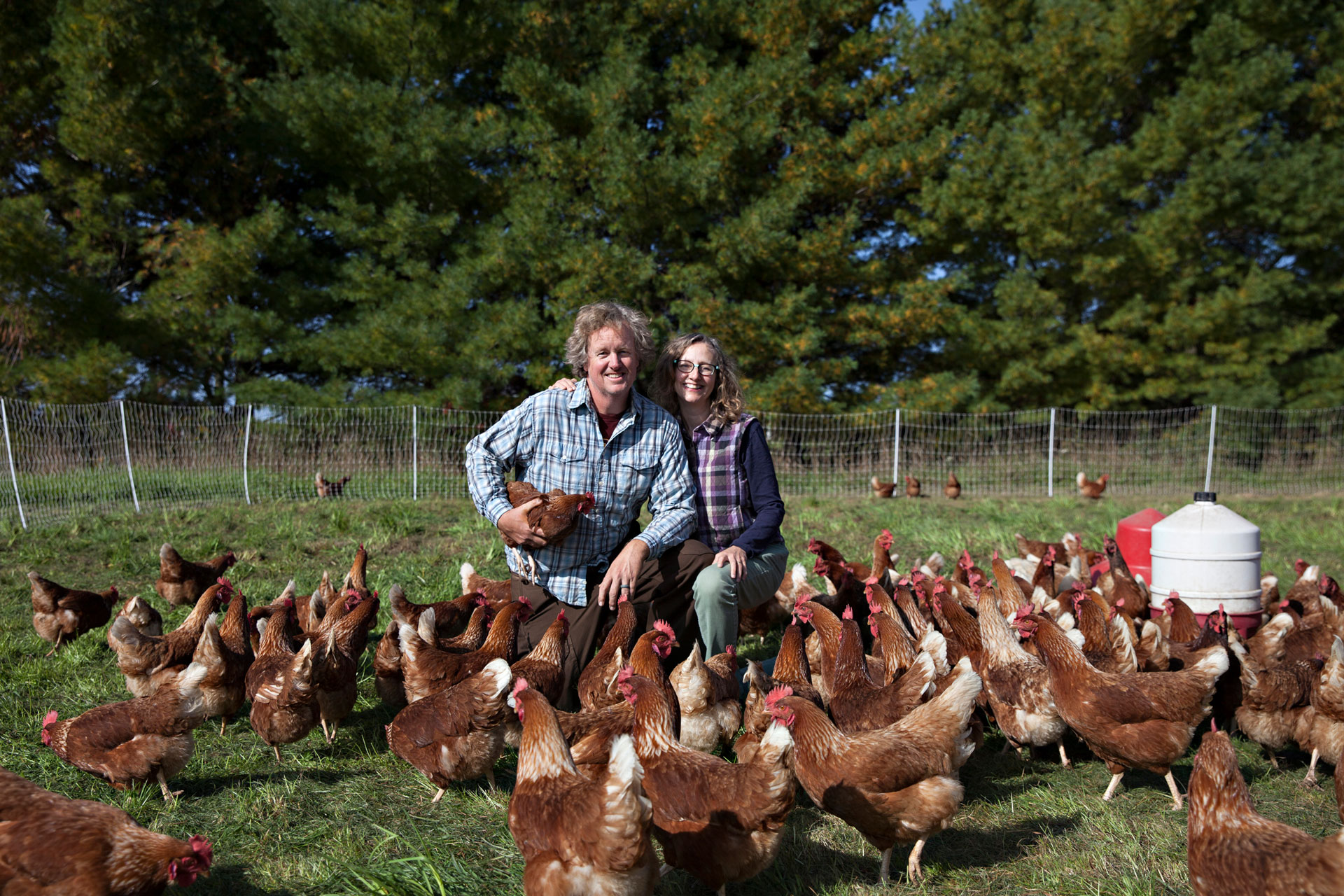 Two people stand together in a grassy field surrounded by numerous brown chickens. Both are smiling, wearing casual clothes, and appear to be on a farm known for its locally laid eggs. The background features a line of trees and fencing enclosing the area.