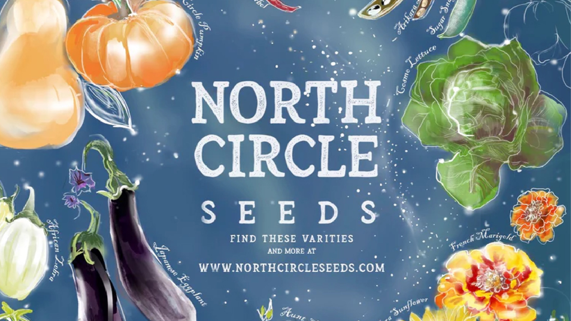Local Producer Profile: North Circle Seeds