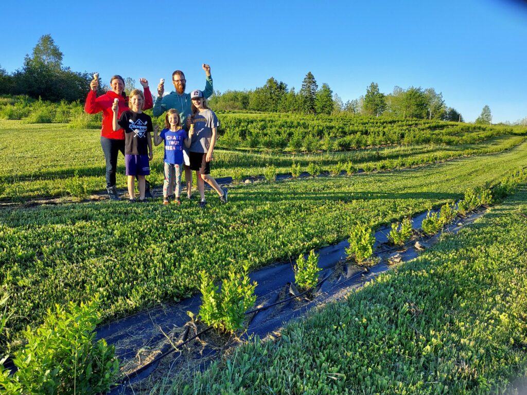 A family stands in a blueberry field