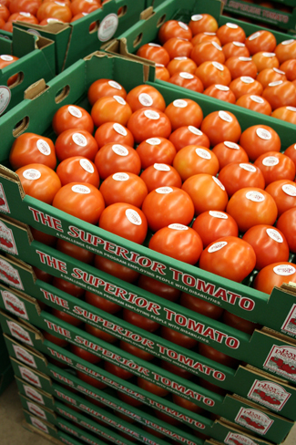 Trays of tomatoes.