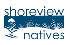 Shoreview Natives