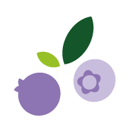 An illustration of two purple berries and two green leaves, perfect for showcasing at Whole Foods Coop Duluth. One berry is solid purple while the other is light purple with a star-shaped detail in the center. The leaves consist of one large dark green leaf and one smaller light green leaf.