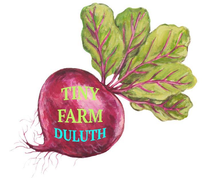 Illustration of a beetroot with leafy green tops. The beetroot is textured with shades of purple and red, while the leaves are green with purple veins. The words "Tiny Farm Duluth" and "Coffee in Duluth" are written in yellow and aqua within the body of the beetroot.