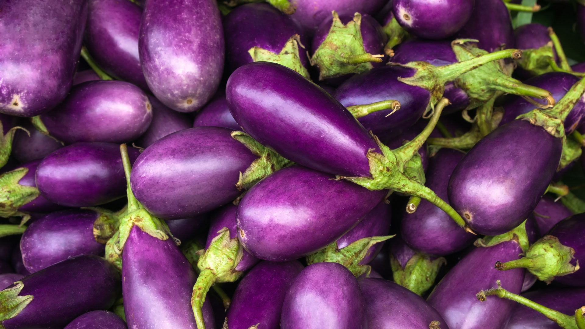 A pile of fresh purple eggplants with green stems. The eggplants are various sizes and shapes, showcasing their glossy, smooth skin and vibrant color. They are closely packed together, filling the entire frame of the image.