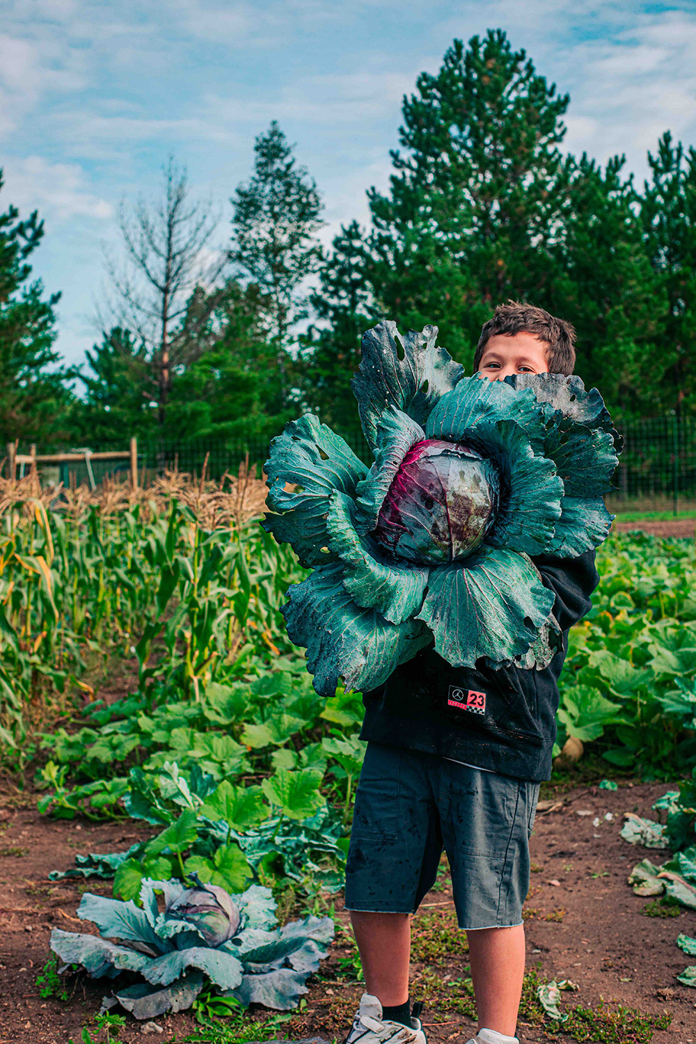 A child stands in a garden holding a giant cabbage that covers most of their face. The lush garden, reminiscent of the fresh produce found at Whole Foods Coop in Duluth, MN, features green plants and tall corn stalks. Trees and a cloudy sky can be seen in the distance. The child wears a black hoodie and grey shorts.