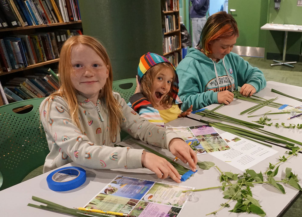 Three children in a library are seated at a table, working on a craft project involving green plant stems and tape. The child on the right wears a rainbow-striped hoodie from the Whole Foods Coop Duluth, the middle child has a rainbow headband, and the left child wears a white hoodie with rainbow patterns.