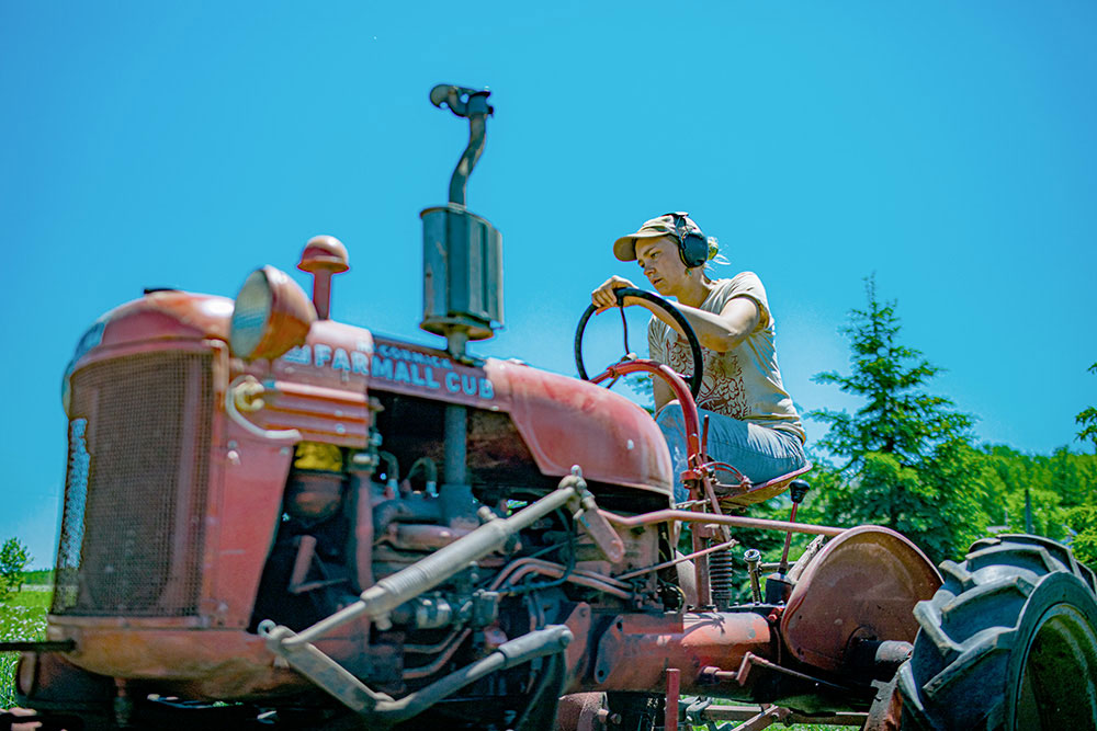 A person wearing a cap and earmuffs operates an old red International Harvester Farmall Cub tractor in a sunny, rural setting near the Whole Foods Coop Duluth. Trees and a clear blue sky are visible in the background.