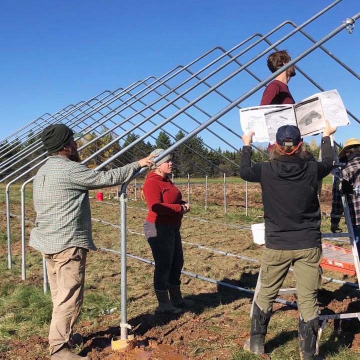 A group from Whole Foods Coop Duluth is working together to assemble a metal frame structure outdoors. One person holds up a set of instructions, while others adjust and support the metal poles. They are on grassy ground with trees in the background under a clear blue sky.