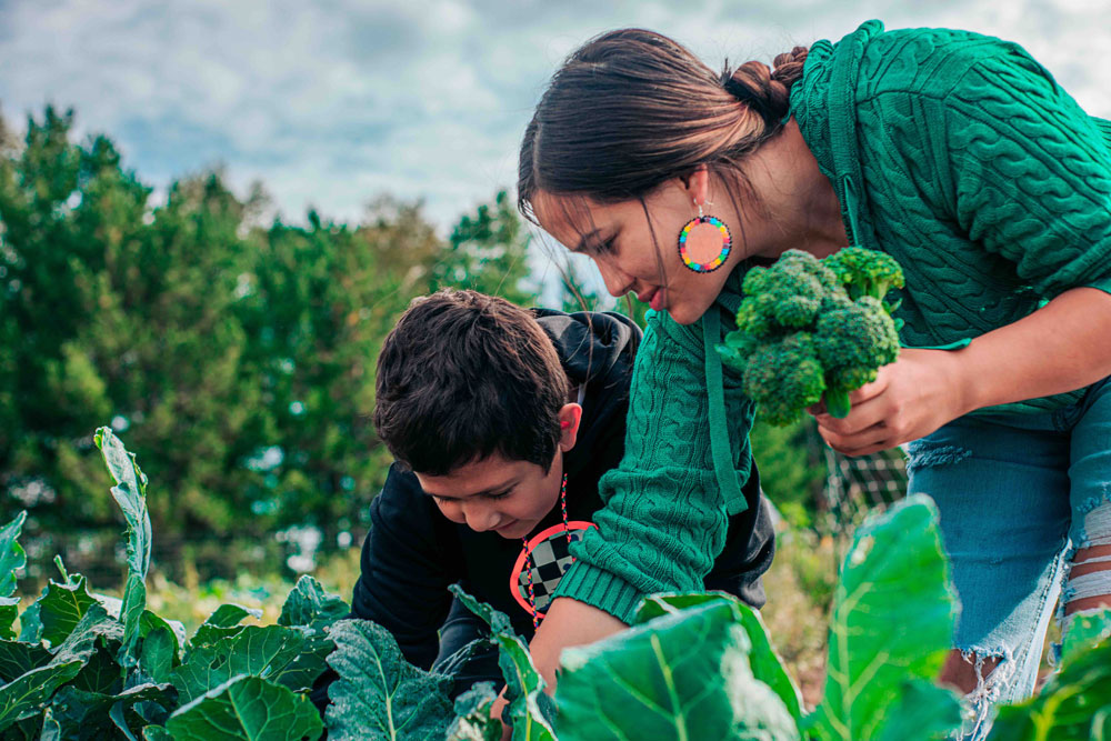 Two people are working in a garden. The person on the right, wearing a green sweater and colorful earrings, is holding a cluster of broccoli, likely harvested for their Whole Foods Coop Duluth. The other person, wearing a black shirt, is focused on the plants. Green foliage and trees are visible in the background.