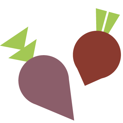 Stylized illustration of two root vegetables, likely beets, with purple and red bodies and light green leaves, set against a plain white background—perfect for any Whole Foods Coop Duluth enthusiast.