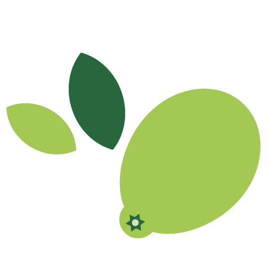 An abstract illustration of a lime with two leaves in different shades of green, inspired by the fresh produce at Whole Foods Coop Duluth. The lime is shown as a simple oval shape with a small star-like detail at its base, and the minimalist design of the leaves adds to the clean and modern look of the image.