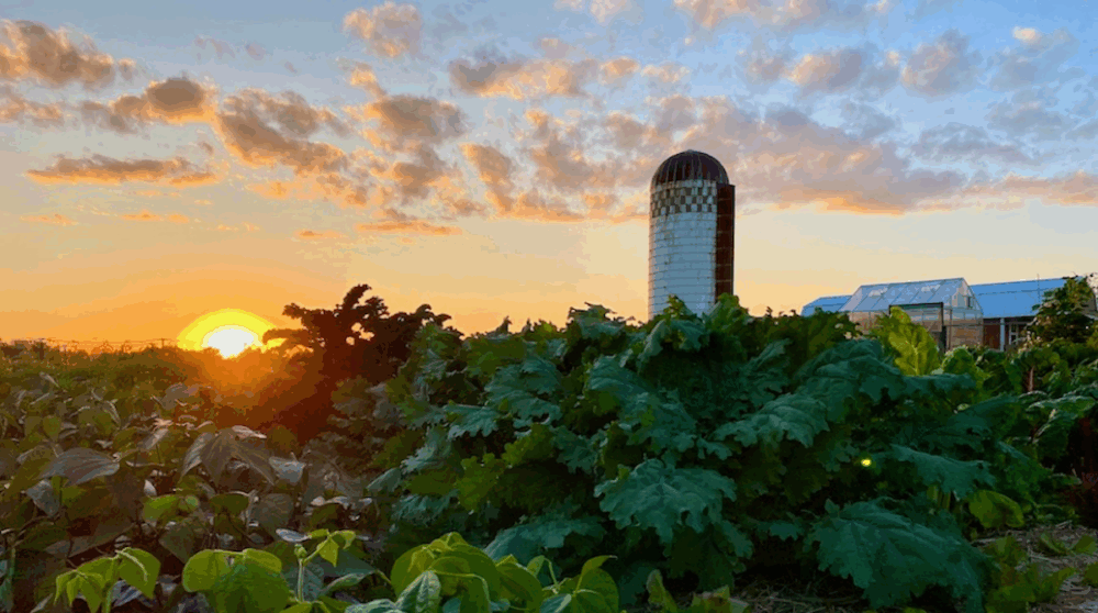 The Boreal Farm field and silo