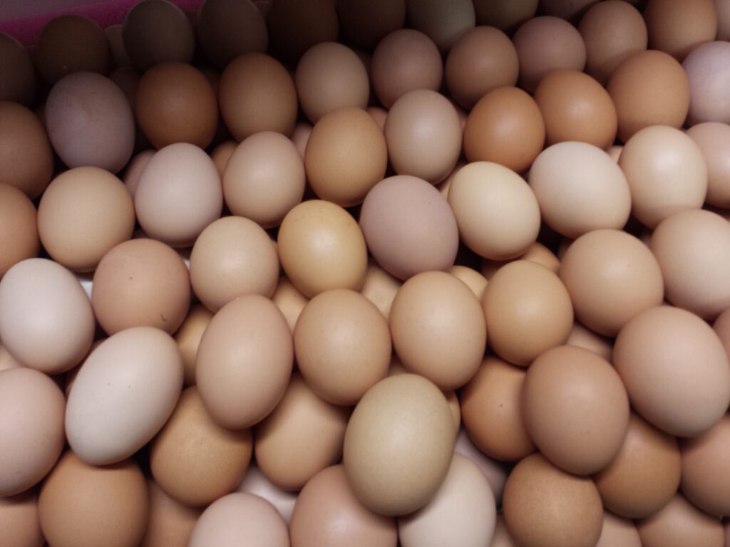 Stacks of farm fresh eggs.