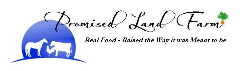 Promised Land Farm logo with a horse, rooster, and cow and the text, "Promised Land Farm, Real Food - Raised the Way it was Meant to Be."