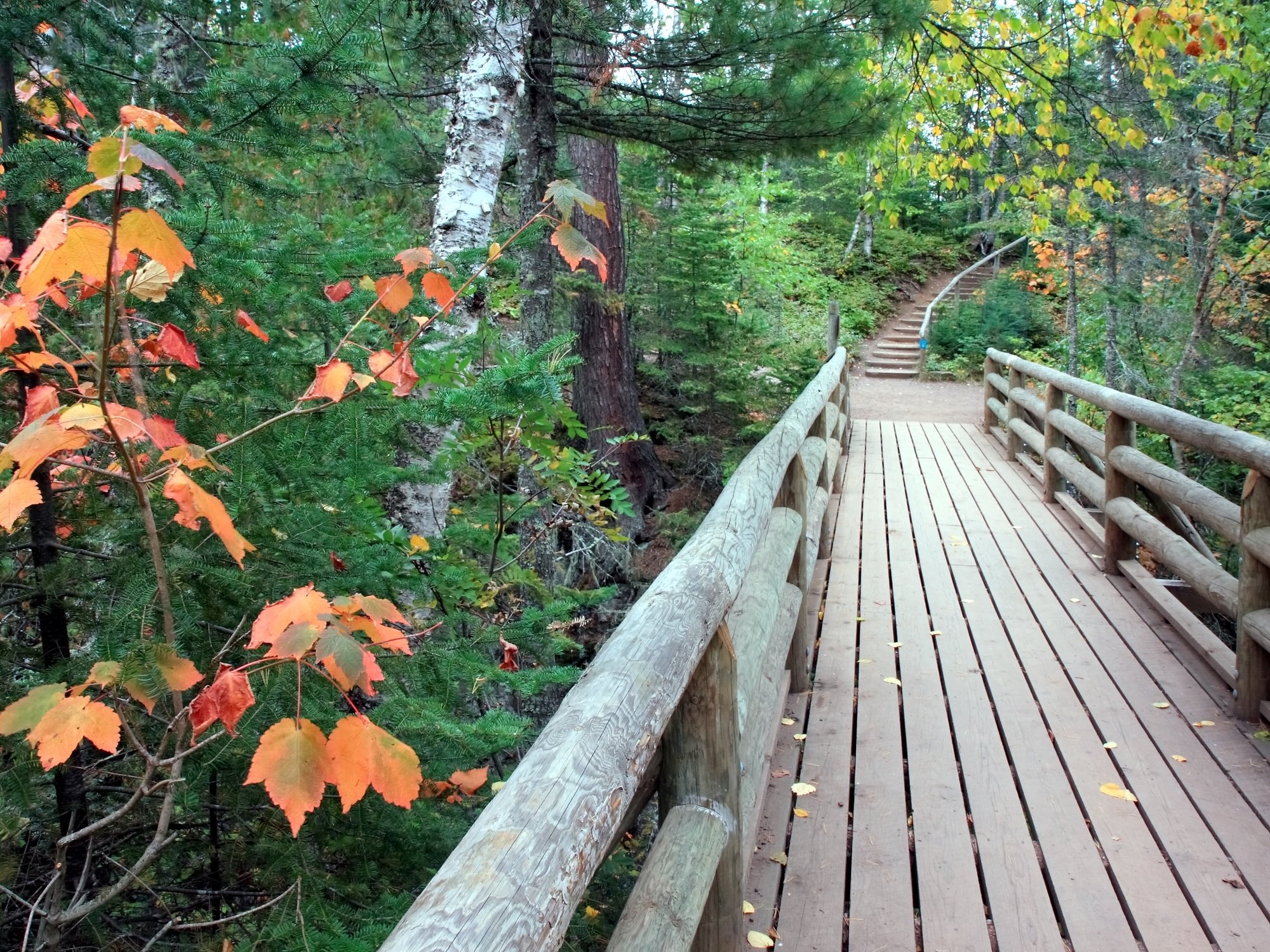 Wooden bridge that leads to a staircase on a hiking trail. Fall colors can be seen on trees to the left of the bridge.