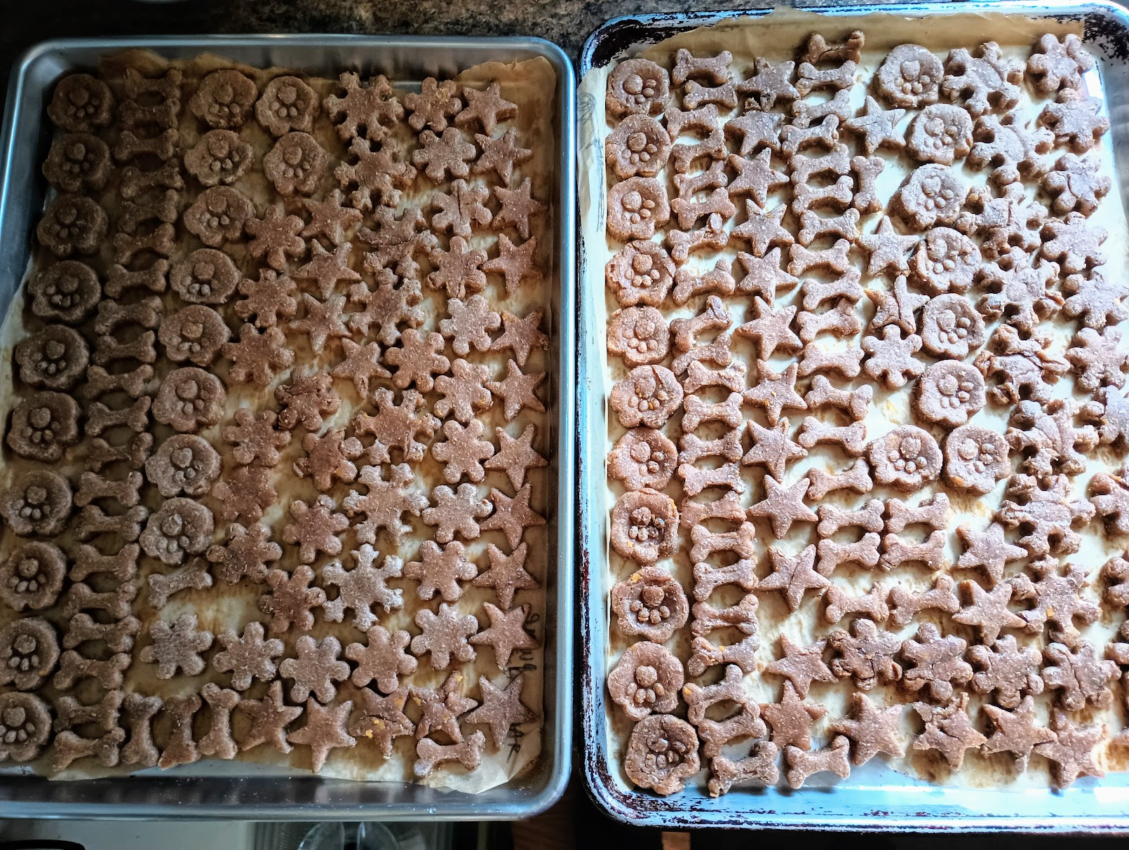 An assortment of dog treats in the shape of dog bones, paw prints, stars, and snowflakes on a baking sheet.