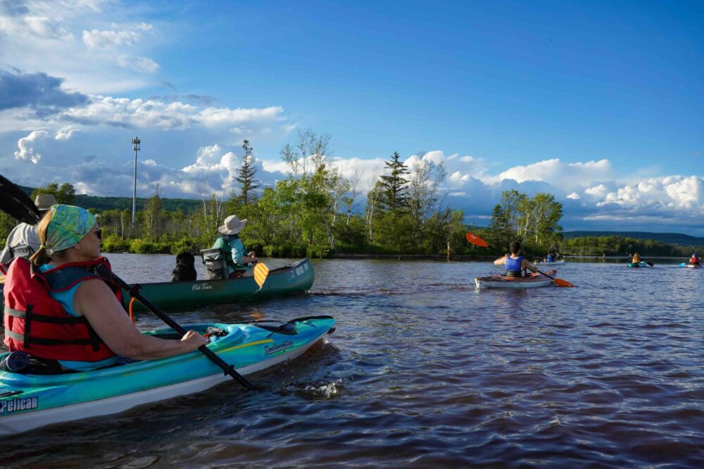 Multiple people and a dog canoeing and kayaking down a river.