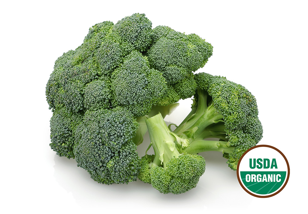 Head of broccoli with USDA organic seal