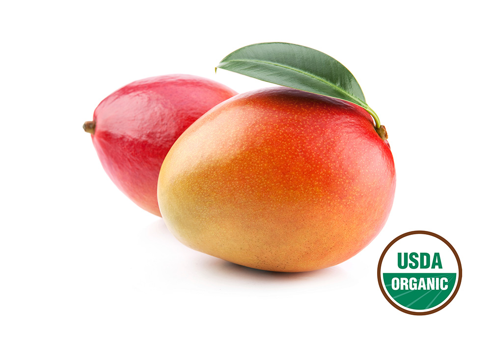 Two mangos with the USDA organic seal