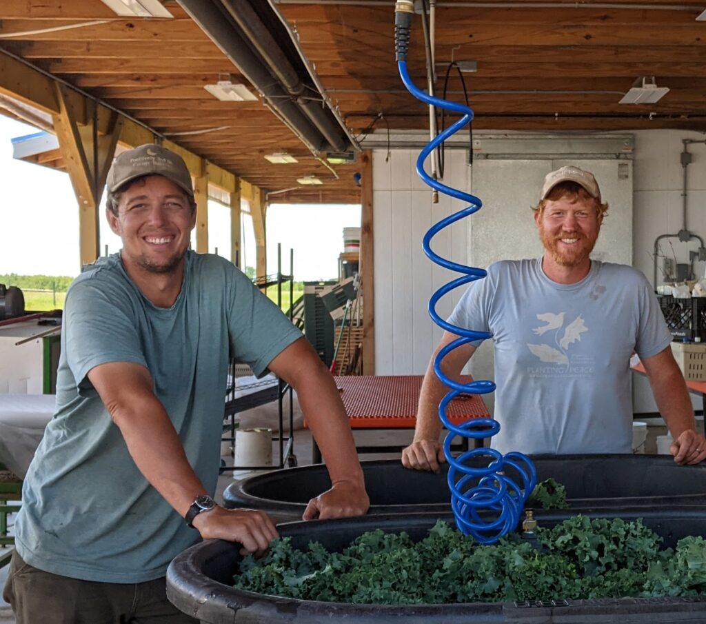 Two men stand near a wash tub full of kale.