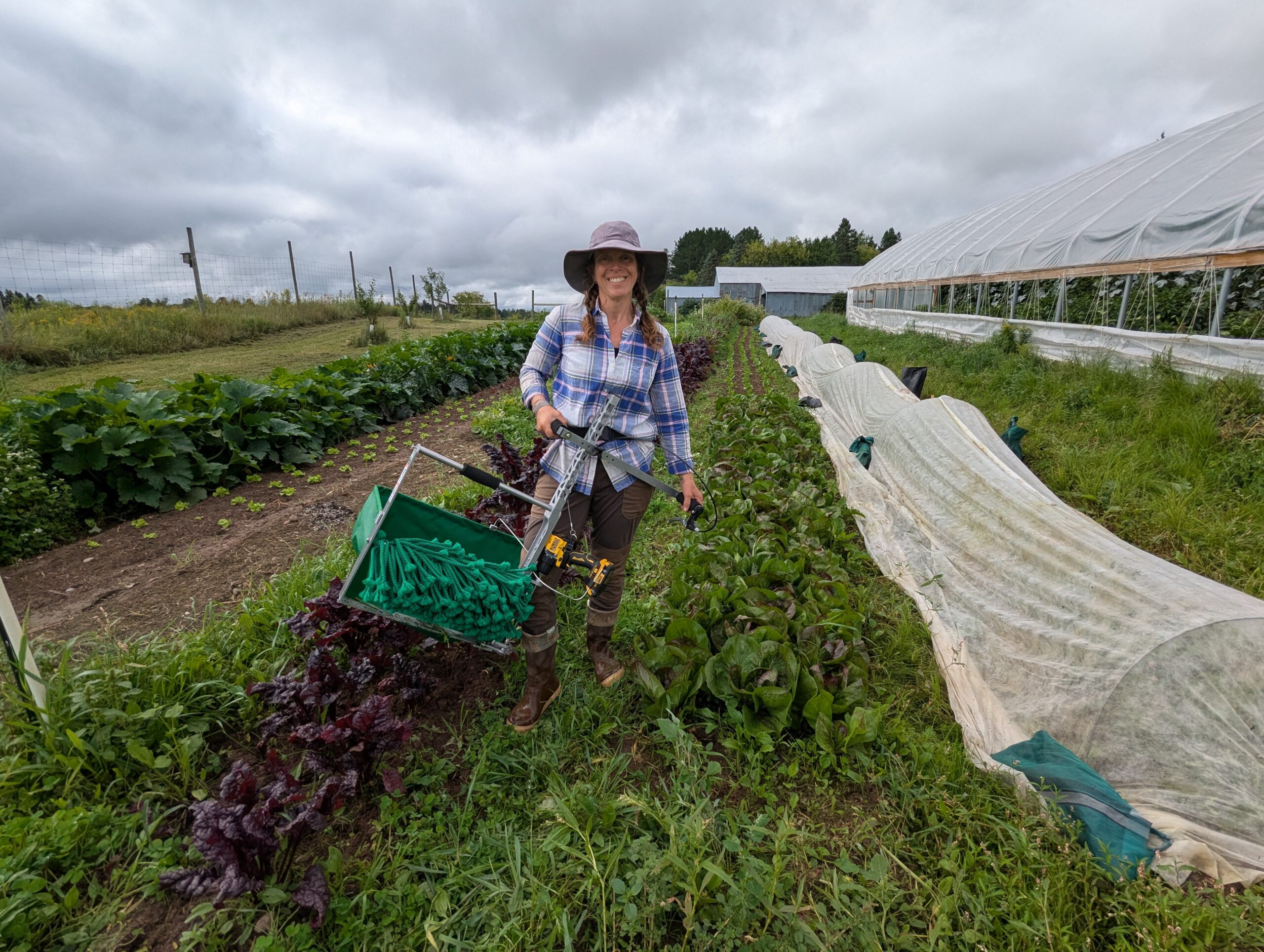 Heather-Marie of Rising Phoenix Community Farms standing in front of her greens crops, with a new harvesting tool, acquired with support from the Grow Local Food Fund Grant.