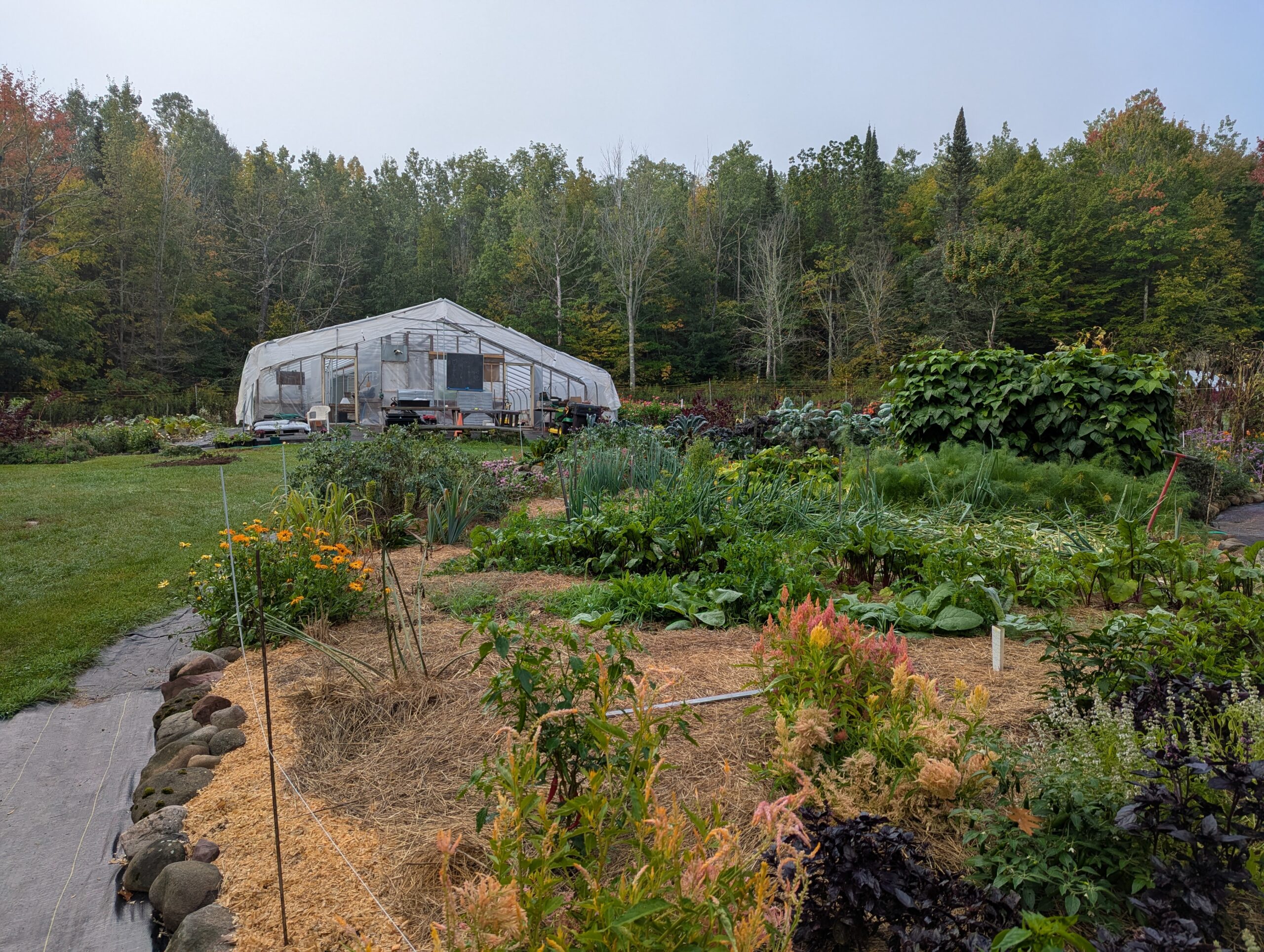 Silver Sage's greenhouse.